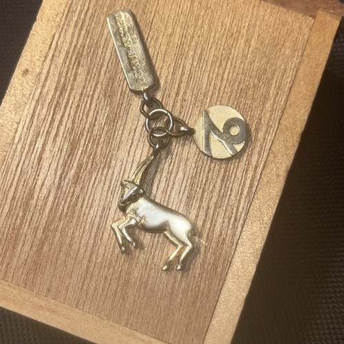 Pendente capricorno - pendente,
