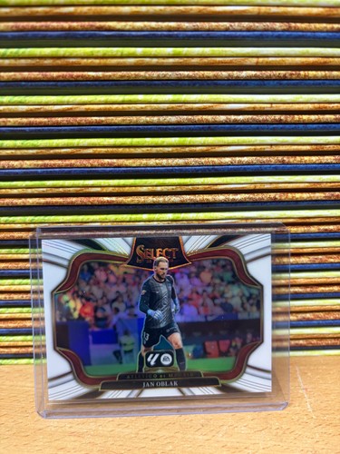 2025 panini seleziona la - panini,